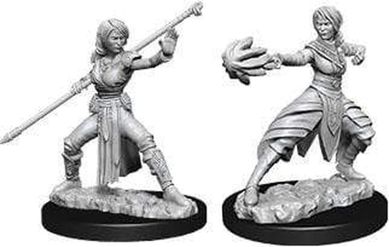 WizKids WZK73839 Accessories