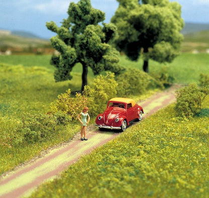Country Lane