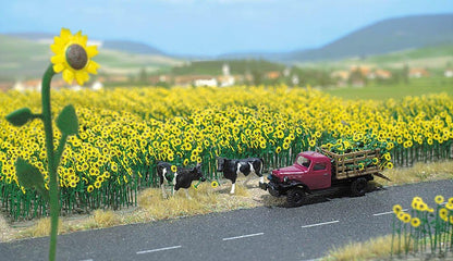 Ho Sunflower Field
