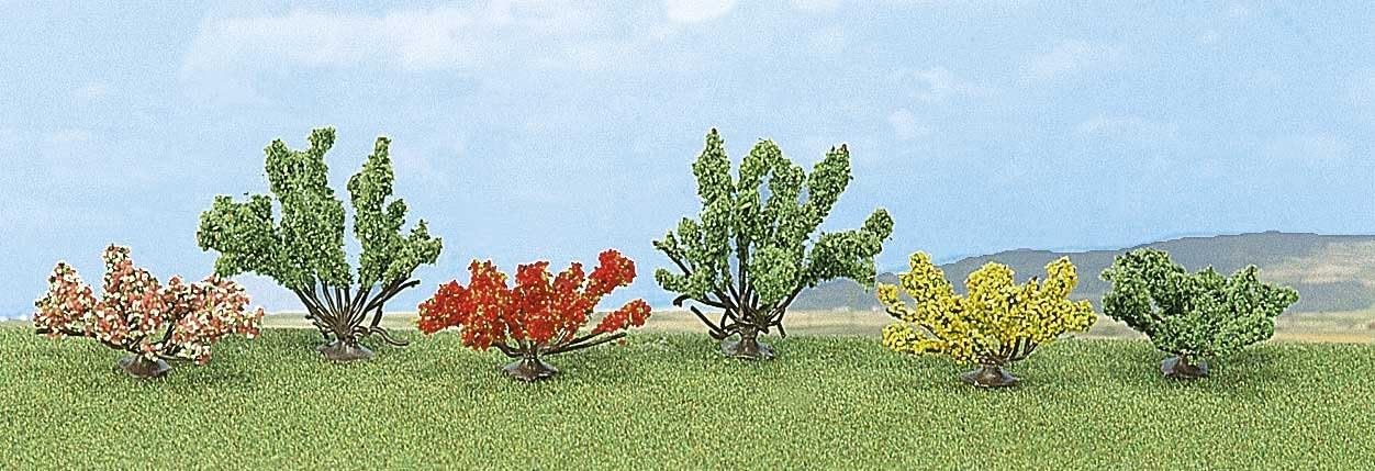 Ho 6 Assorted Bushes