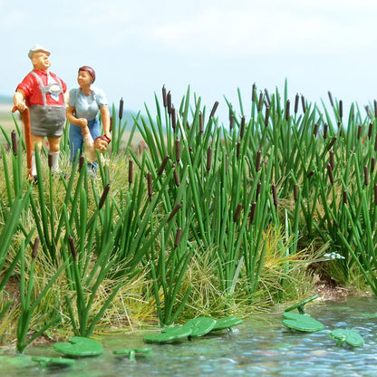 120 Bull rushes