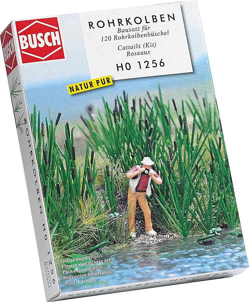 120 Bull rushes