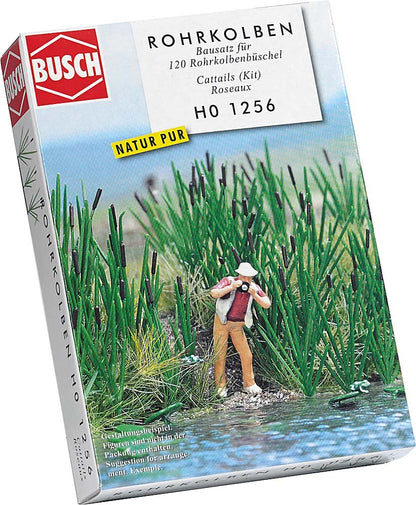 120 Bull rushes
