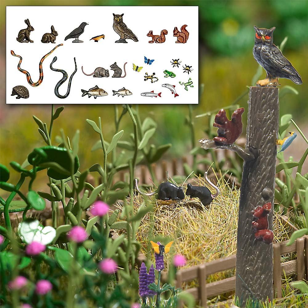 Small Animals