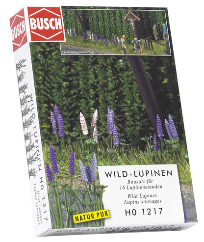 Wild Lupins