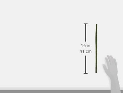 FALLER 181449 - 2 Hecken, 50 x 0,8 x 1,5 cm