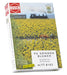 Sunflower Field 96 flowers