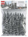 Ho 20 Assorted Snowed Pine