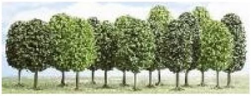 Ho 12 Park Trees