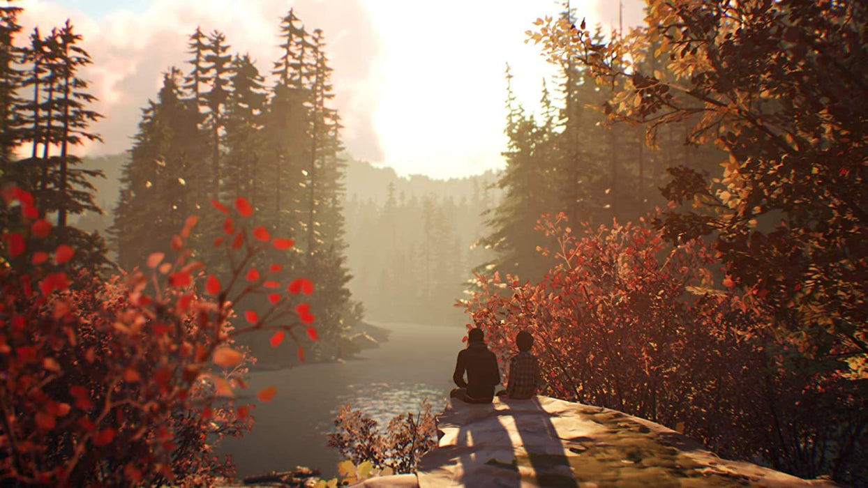 Life is Strange 2 PS4