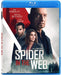 Spider In The Web