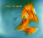 Animism