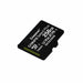 Kingston Canvas Select Plus SDCS2/256GBSP Scheda microSD Classe 10, senza Adattatore SD, 256 GB