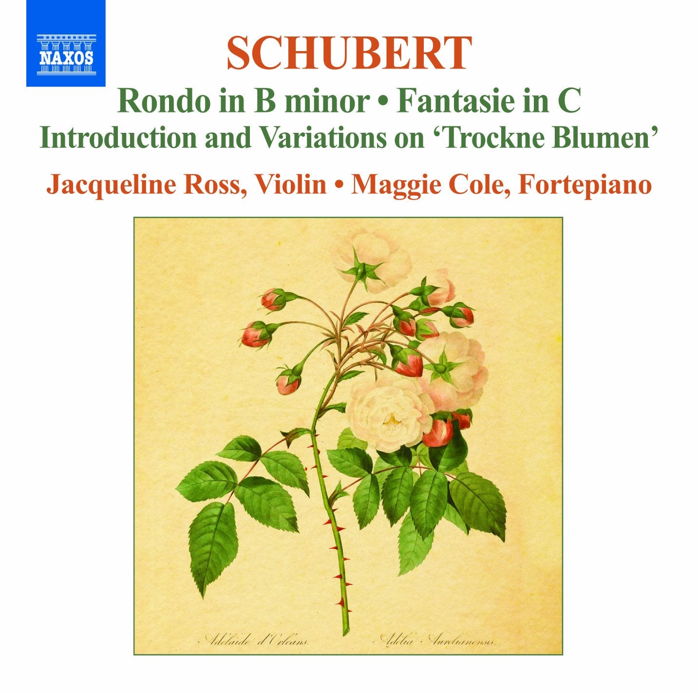 Schubert: Works F.Violin Vol.2
