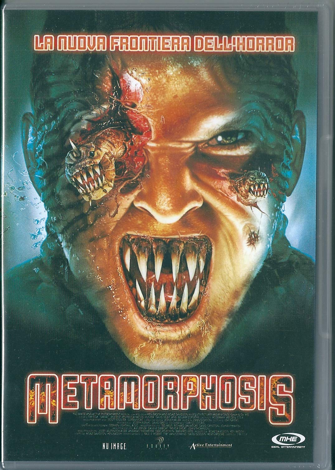 Metamorphosis