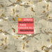 Rachmaninoff: Piano Concerto No. 3