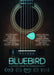 Bluebird - An Accidental Landmark That Changed History