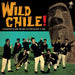 Wild Chile!: A Collection of Rare and Wild 60's Chilean Rock 'N' Roll