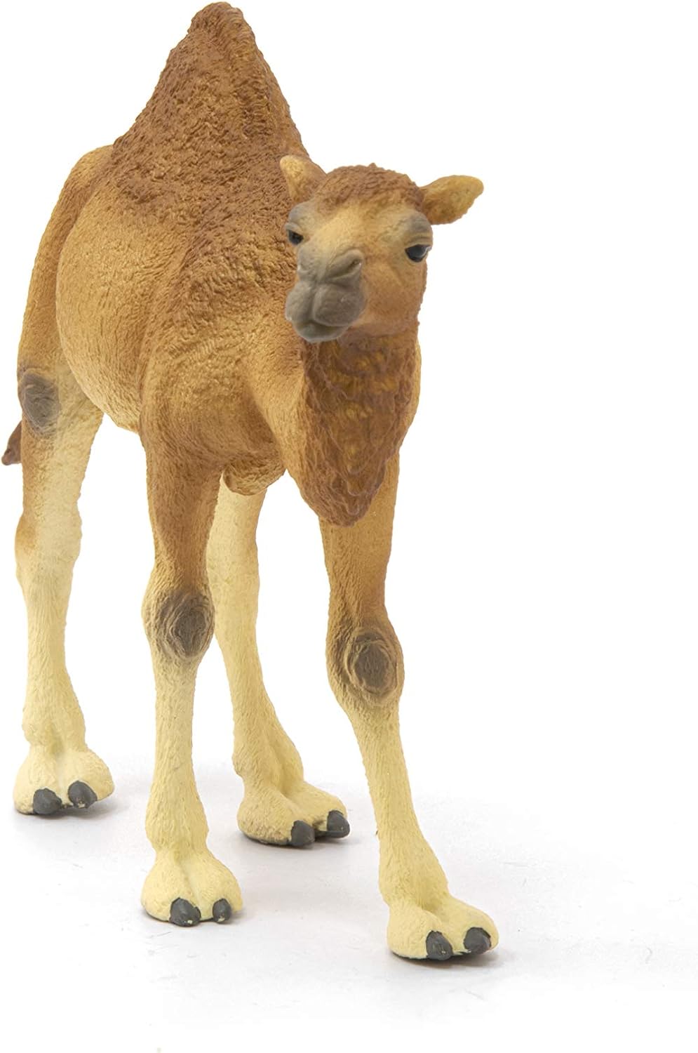 schleich 14832 Dromedar, für Kinder ab 3+ Jahren, WILD LIFE - Spielfigur