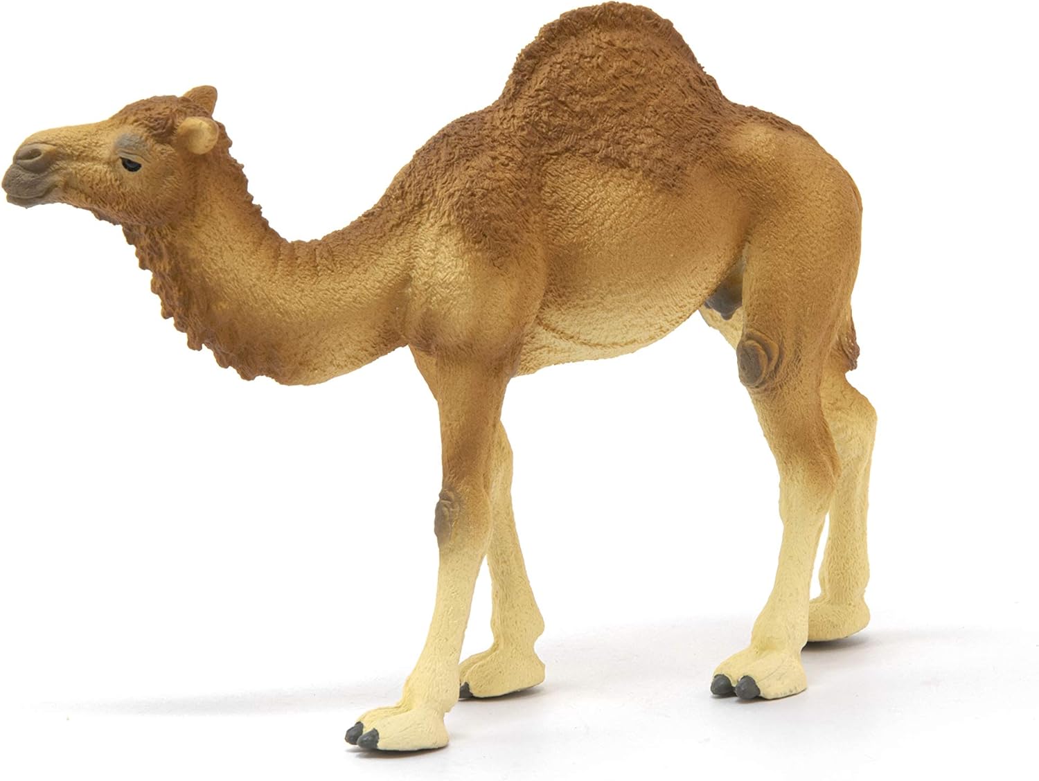 schleich 14832 Dromedar, für Kinder ab 3+ Jahren, WILD LIFE - Spielfigur