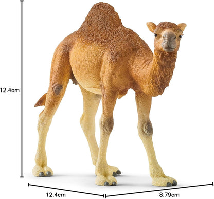 schleich 14832 Dromedar, für Kinder ab 3+ Jahren, WILD LIFE - Spielfigur