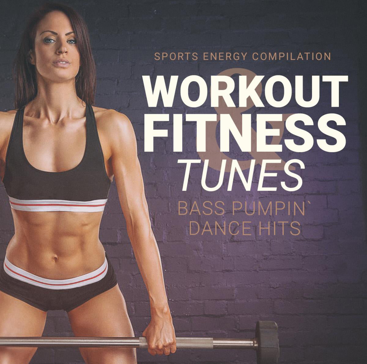 Workout Fitness Tunes: Bass Pumpin' Hits