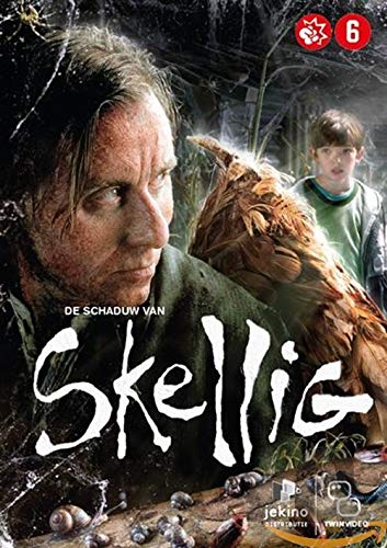 Schaduw van Skellig
