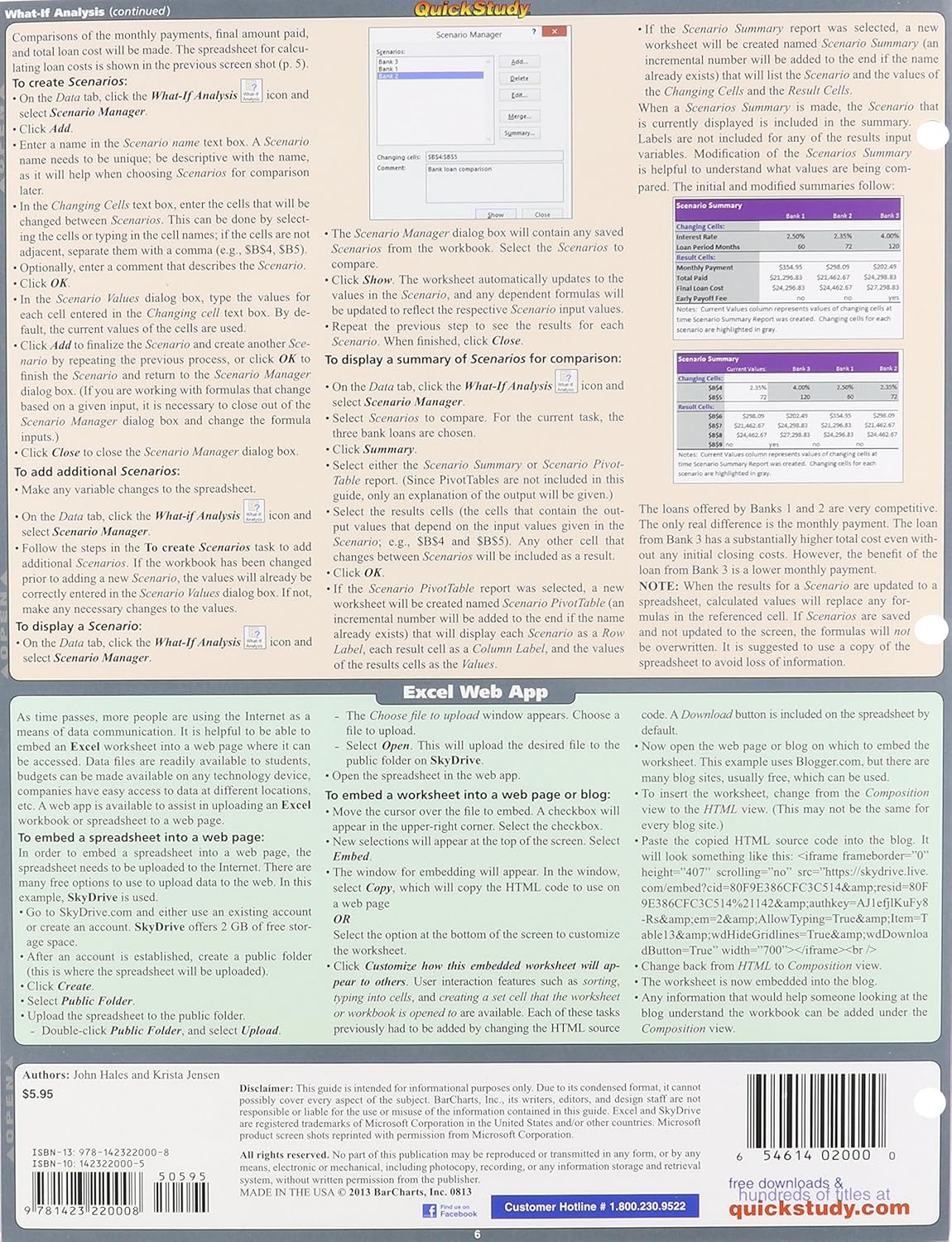 Excel 2013 Advanced (Quick Study Computer)