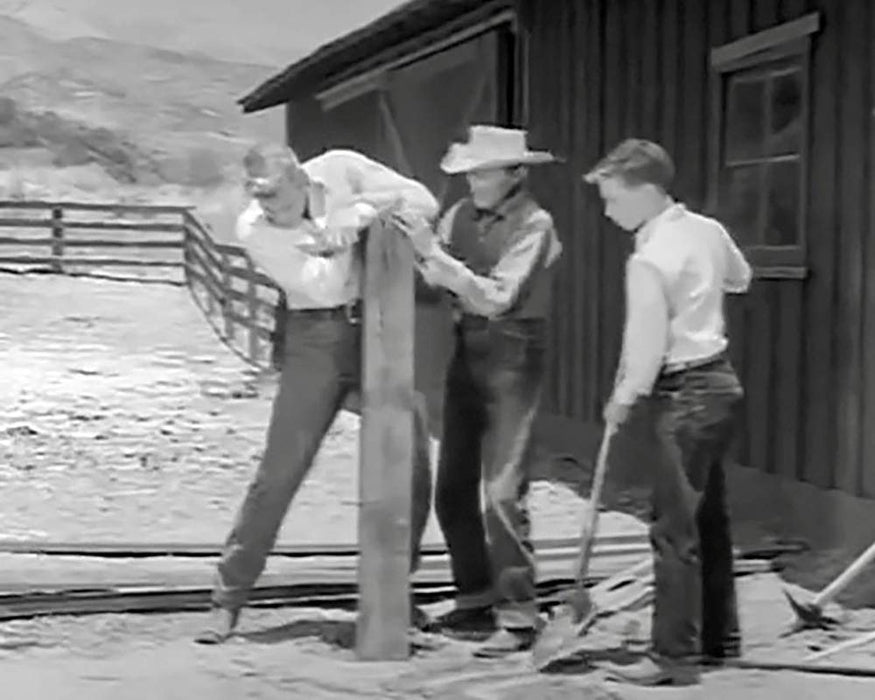 Fury - Die Abenteuer eines Pferdes. Vol.2, 4 DVD