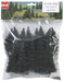 20 Pine Trees