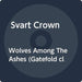 WOLVES AMONG THE ASHES (W/CD) (CVNL) (GATE) (GER)