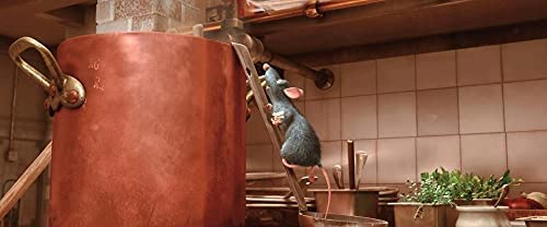 BUENA VISTA HOME ENTERTAINMENT Ratatouille