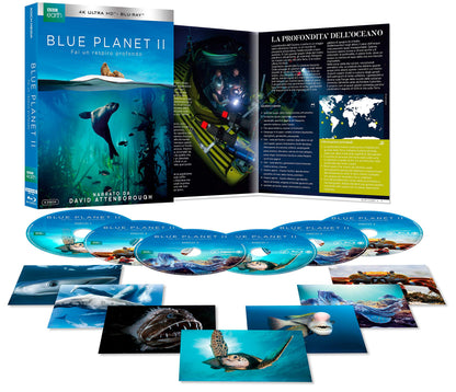 Blue Planet II (4k+Br)