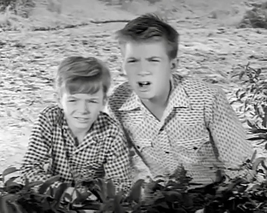 Fury - Die Abenteuer eines Pferdes, Vol. 3