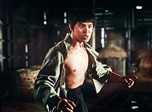 Der tätowierte Adler (Shaw Brothers Collection)