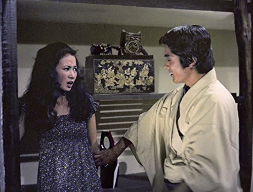 Zehn gelbe Fäuste für die Rache - The Angry Guest (Shaw Brothers Collection)