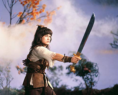 Die Eisenfaust (Shaw Brothers Collection)