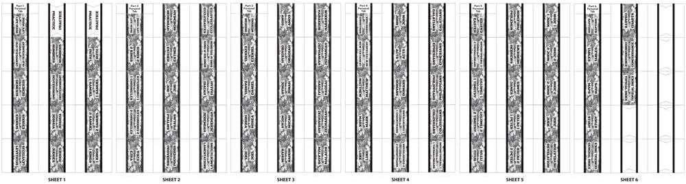 Tabbies 58412 Urban Camo Pink Bible Indexing Tabs, Old & New Testaments, 90 Tabs Including 66 Books, 11 Reference, 6 Personal, 7 Write-on Tabs (58415