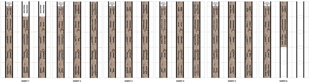 Tabbies Desert Camo Bible Indexing Tabs, Old & New Testaments, 90 Tabs Including 66 Books, 11 Reference, 6 Personal, 7 Write-on Tabs (58414