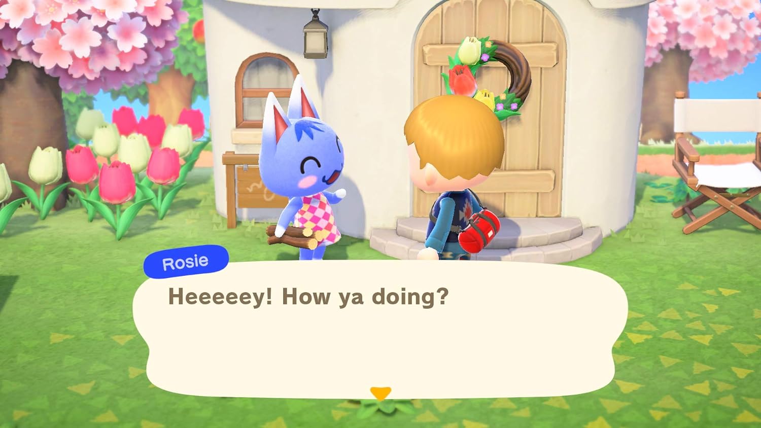 Animal Crossing: New Horizons for Nintendo Switch