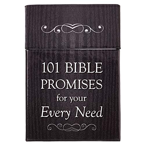 101 Bible Promises for Your Every Need