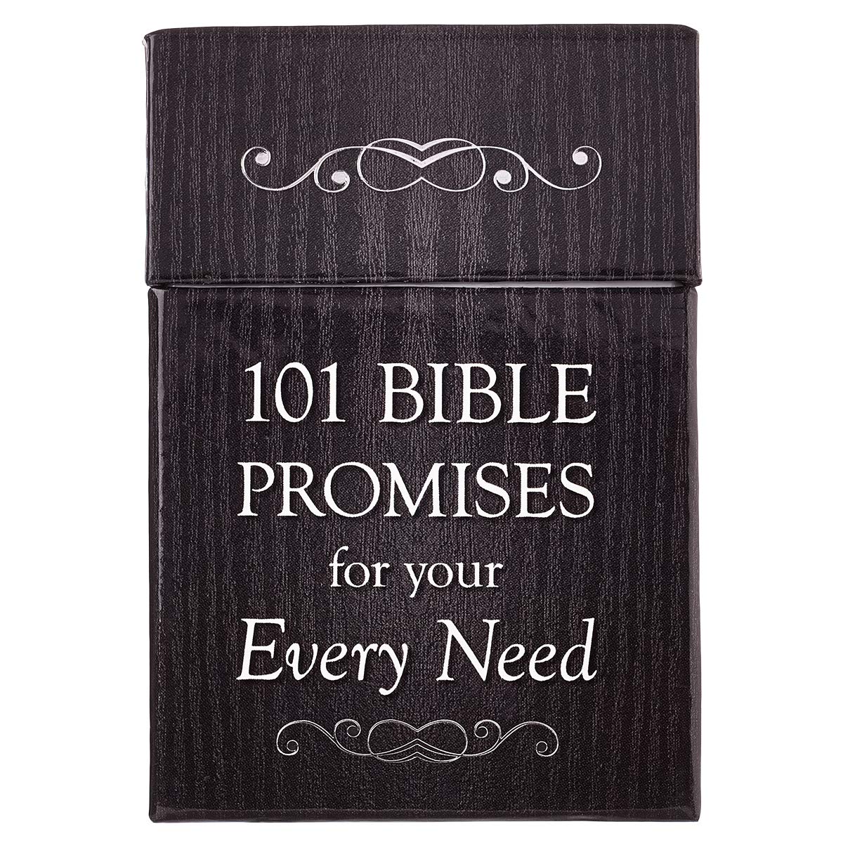 101 Bible Promises for Your Every Need