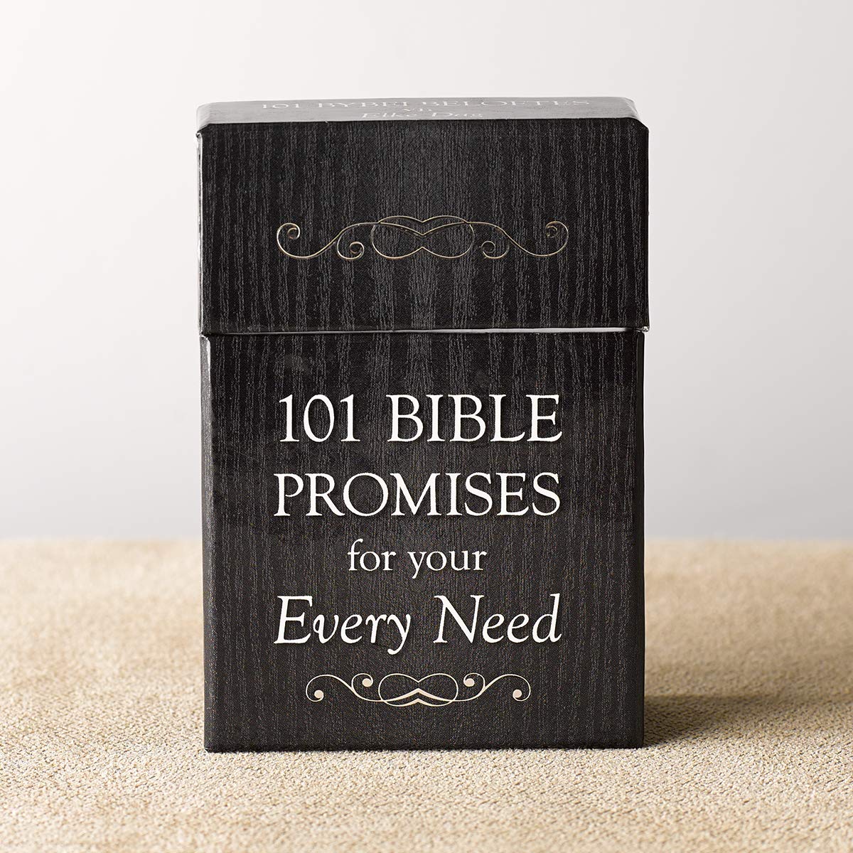 101 Bible Promises for Your Every Need