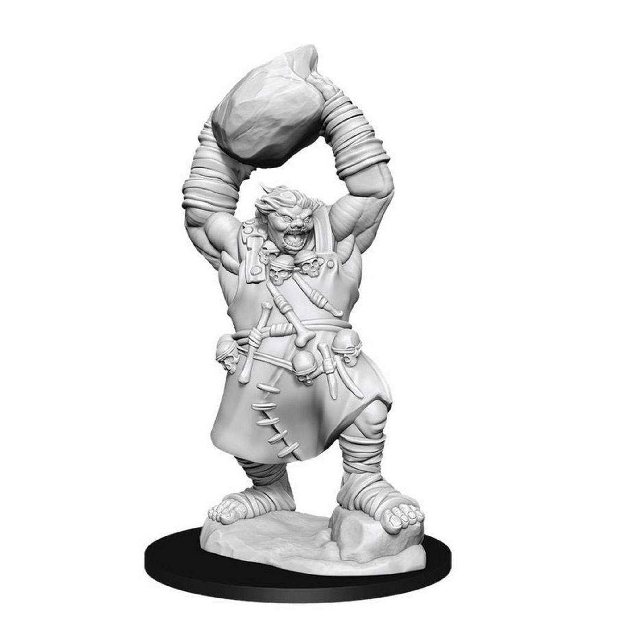 Ogre Pathfinder Battles Deep Cuts Unpainted Miniatures (W11)