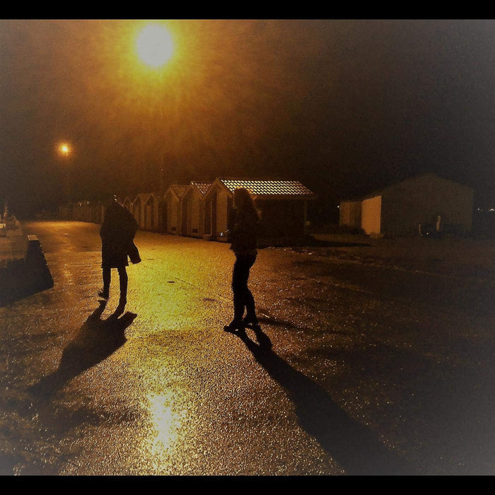 Love / Leave: 11 Songs Of Bob Dylan