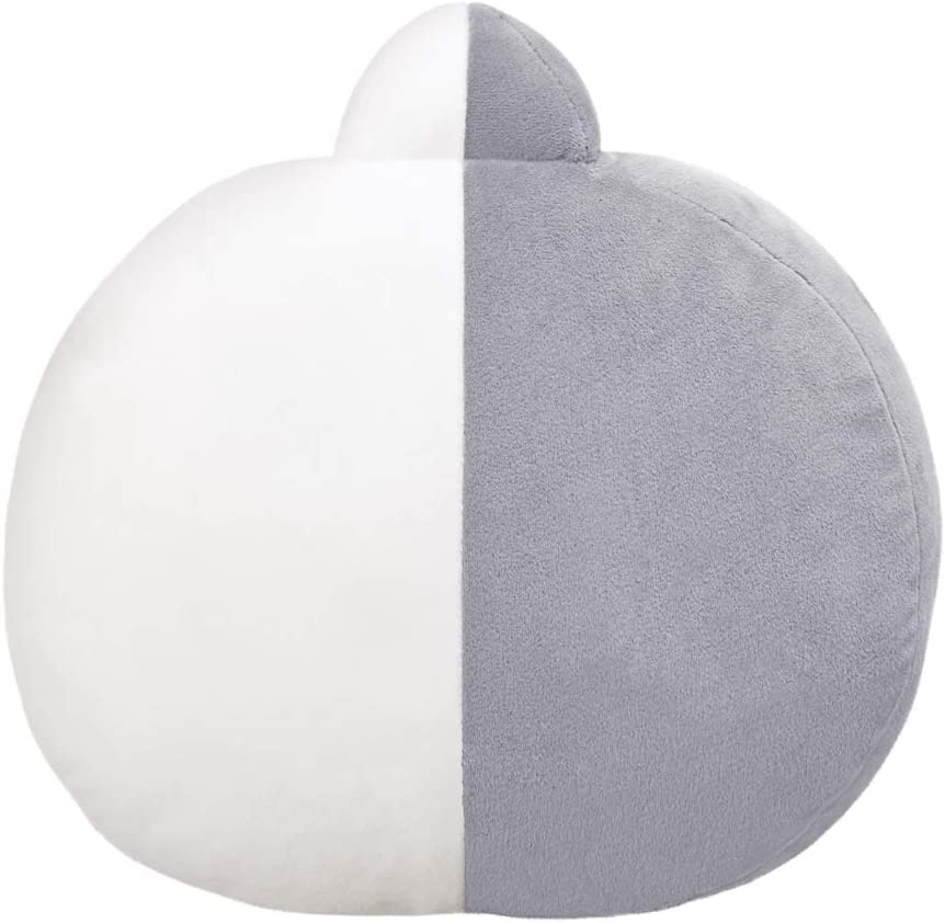 BT21 VAN Cushion 12.5In