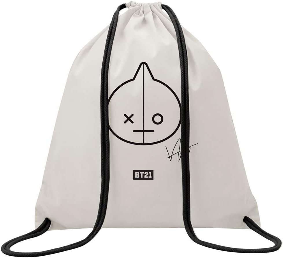 BT21 VAN Cushion 12.5In