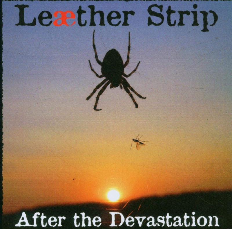 After The Devastation