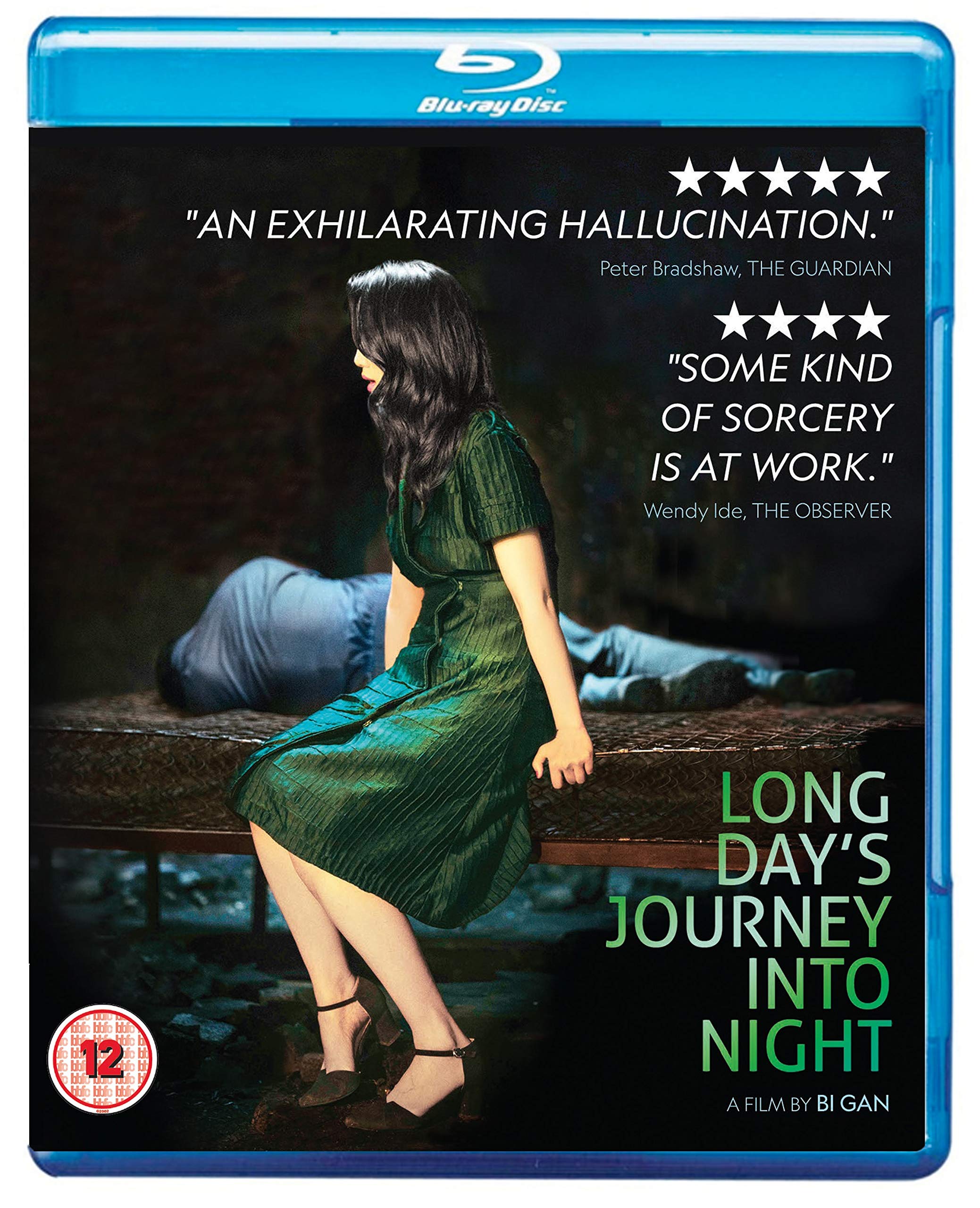 Long Day's Journey Into Night