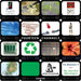 Fourteen Channels